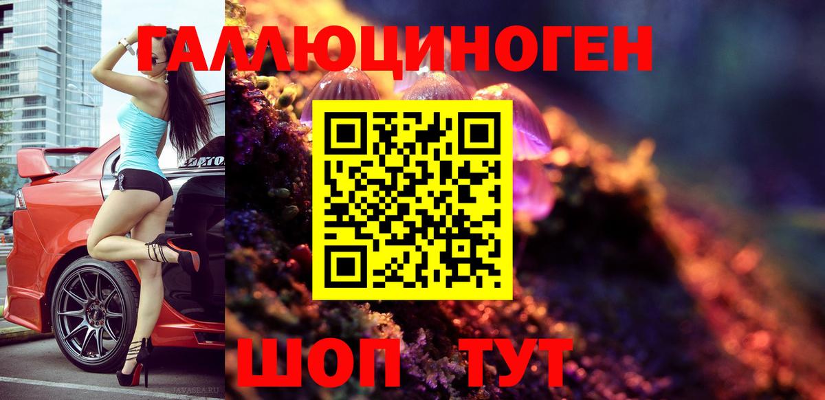 Тула  Псилоцибиновые грибы Psilocybe  Вход с VPN 
